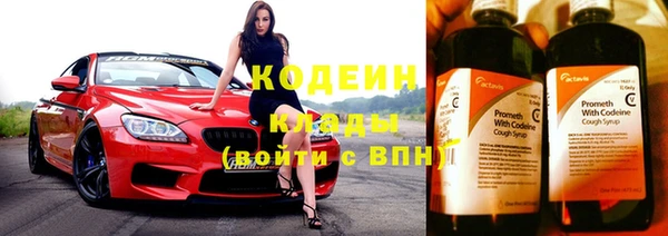 соль ск Ельня