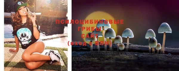соль ск Ельня