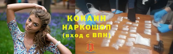соль ск Ельня