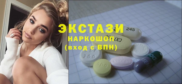 соль ск Ельня