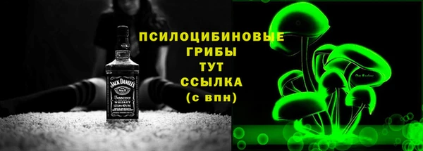 соль ск Ельня