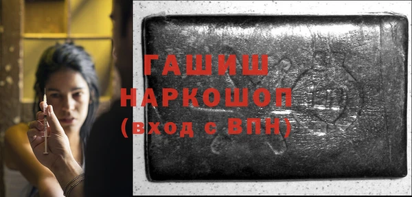 соль ск Ельня