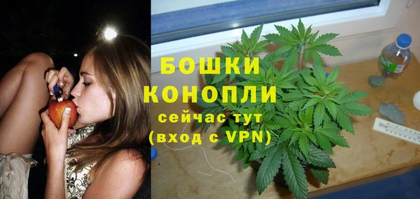 шишки Сосновоборск