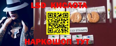 дмт Камышлов