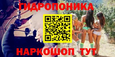 дмт Камышлов