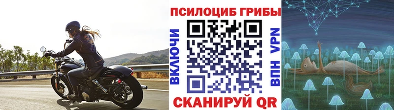 Псилоцибиновые грибы Cubensis  Новочеркасск 