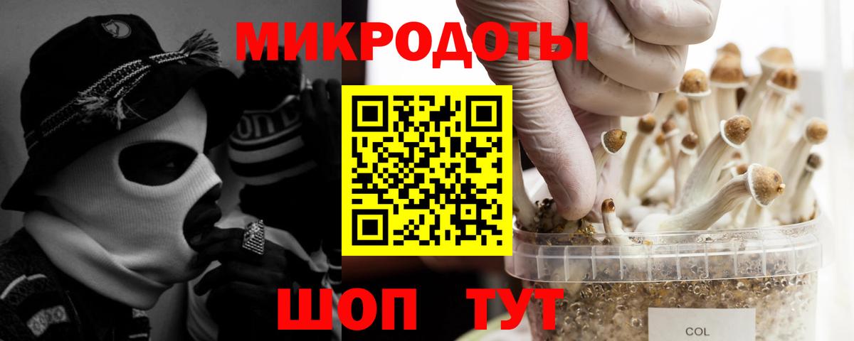 Новочеркасск  Галлюциногенные грибы прущие грибы  Вход с VPN  Псилоцибиновые грибы мухоморы 